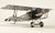 Fokker D.VII 'OTTO'